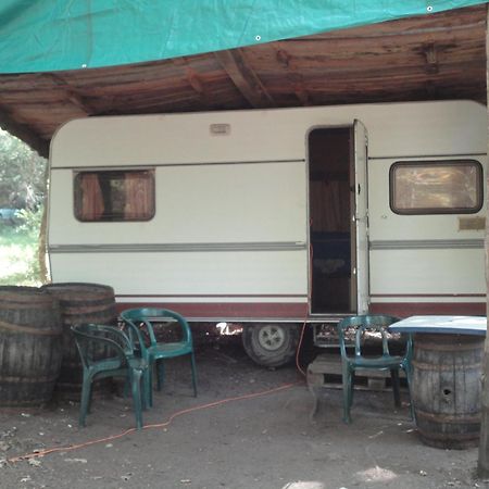 Air Naturel De Camping Moulin De Malesse Saint-Privat  Exteriör bild